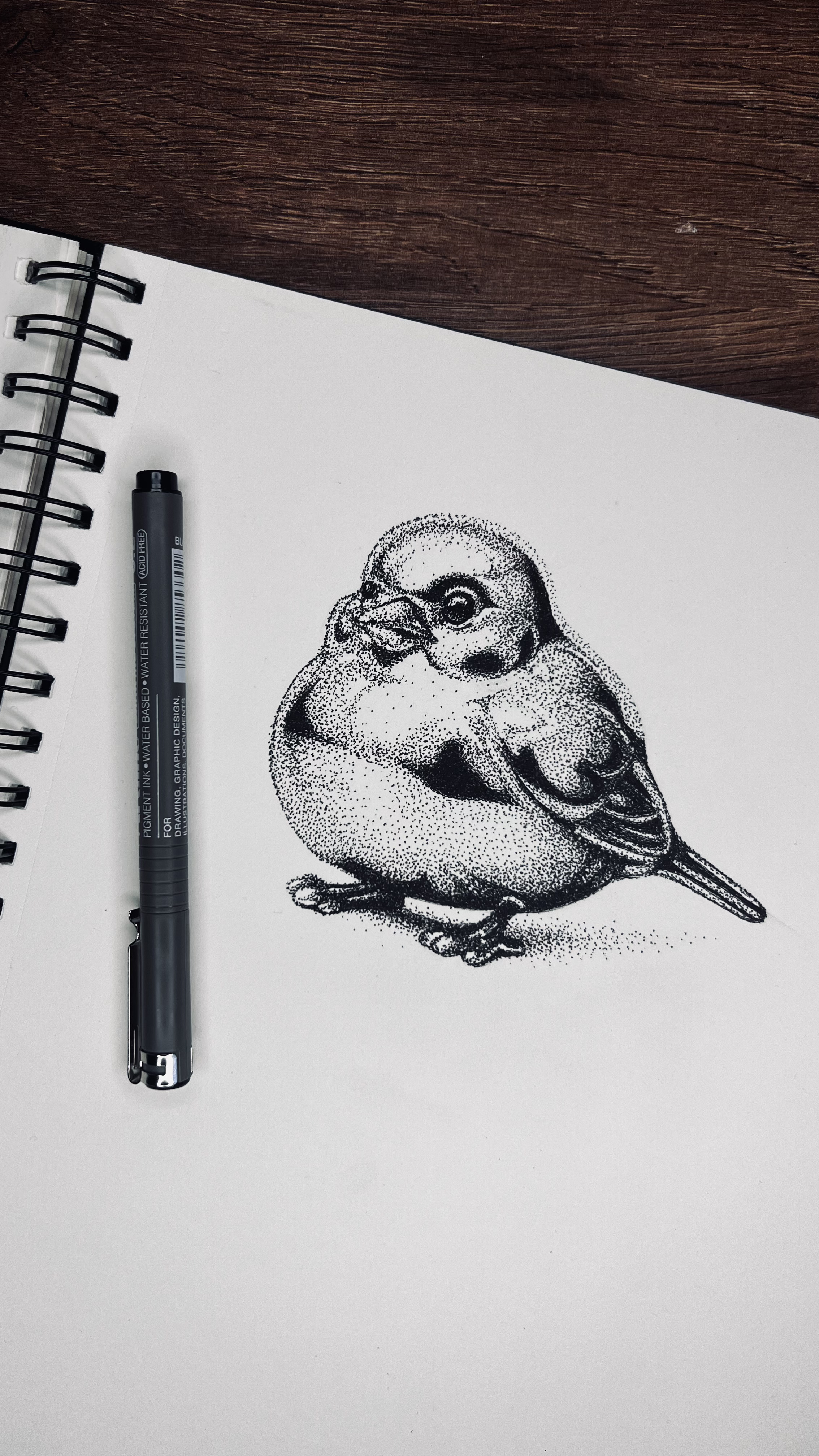 Obra artística 3 de AtiKattoo